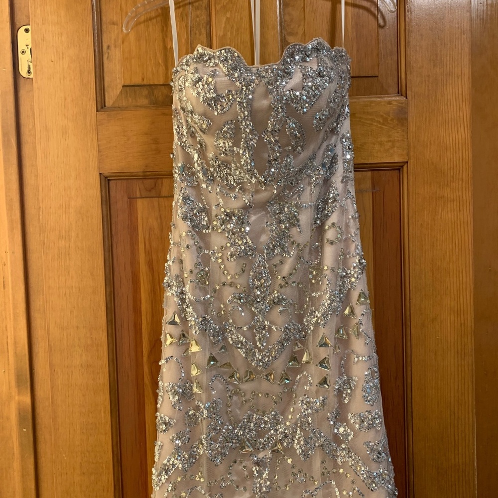 Jovani Prom/Formal Dress - Picture 6 of 6